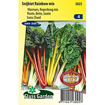 Snijbiet Rainbow Mix