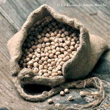 Kikkererwt Pascia BIO - Ferme de Sainte Marthe