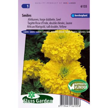 Groot afrikaantje Smiles (zaad) - Tagetes erecta