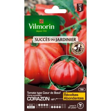 Vleestomaat Corazon F1 - Vilmorin