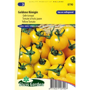 Tomaat Goldene Königin