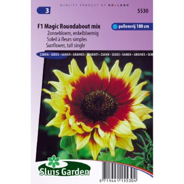 Zonnebloem Magic Roundabout F1 (zaad) - Helianthus annuus