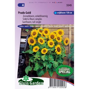 Zonnebloem Prado Gold (zaad) - Helianthus annuus