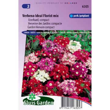 Verbena Ideal Florist Mix (zaad) - Hangverbena