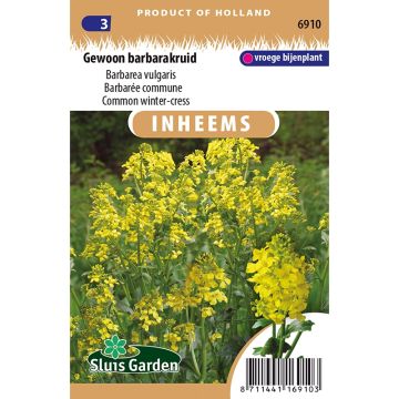 Gewoon barbarakruid - Barbarea vulgaris (zaad)