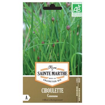 Bieslook BIO Ferme de Sainte Marthe - Allium schoenoprasum