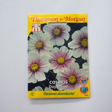 Cosmea Daydream (zaad) - Cosmos bipinnatus