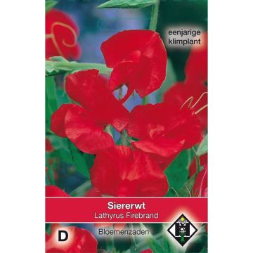 Lathyrus odoratus Firebrand (zaad) - Siererwt