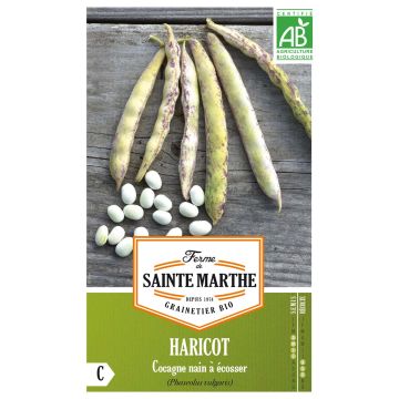 Stamdroogboon Cocagne BIO - Ferme de Sainte Marthe