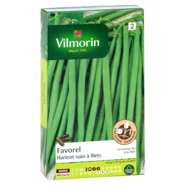 Stamslaboon Favorel - Vilmorin