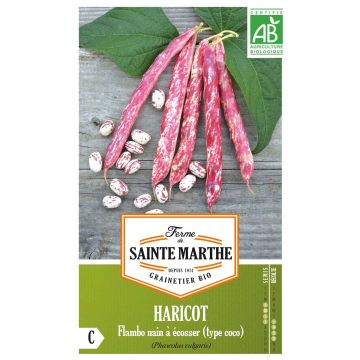 Stamkievitsboon Flambo BIO - Ferme de Sainte Marthe