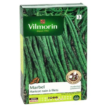 Stamslaboon Marbel - Vilmorin