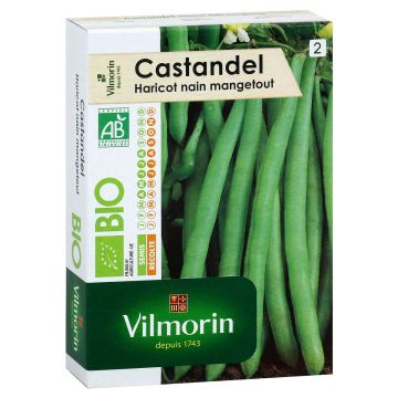 Stamslaboon Castandel BIO - Vilmorin