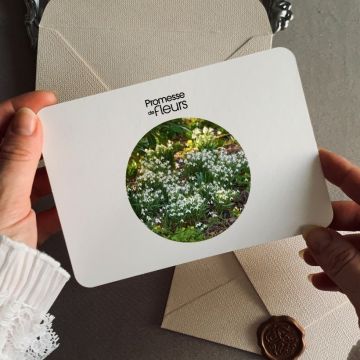 Cadeaubon