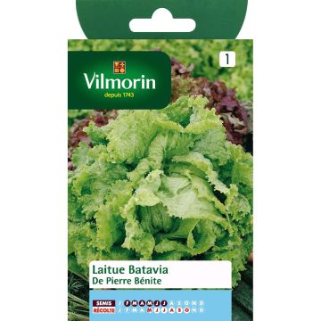 Bataviasla De Pierre Bénite - Vilmorin