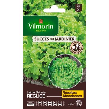 Bataviasla Reglice F1 - Vilmorin
