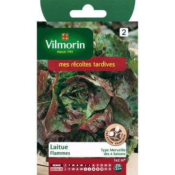 Kropsla Flammes - Vilmorin
