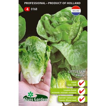 Romaine sla Pinilla (zaad)