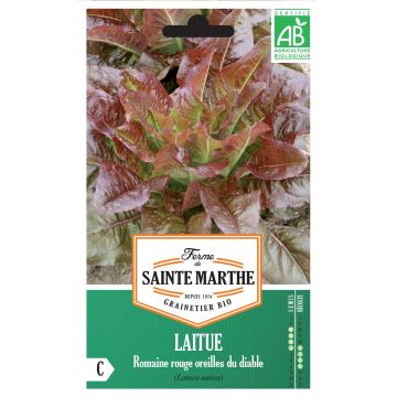 Romaine sla Rode Duivelsoren BIO - Ferme de Sainte Marthe