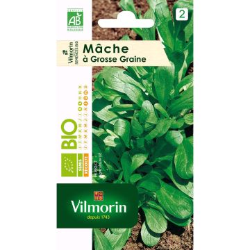 Veldsla Grote Noordhollandse BIO