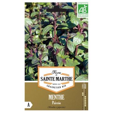 Pepermunt BIO Ferme de Sainte Marthe - Mentha piperita