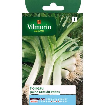 Prei Gele dikke van Poitou - Vilmorin