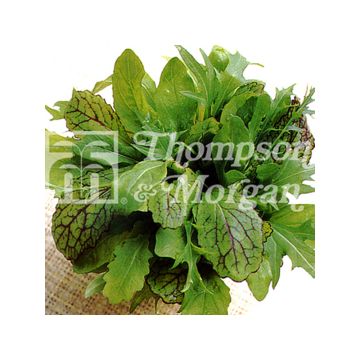 Pluksla Nice n Spicy Mixed