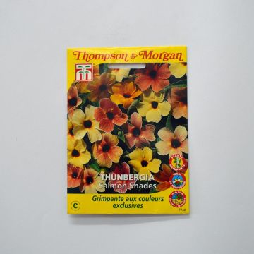 Thunbergia alata Salmon Shades (zaad) - Suzanne-met-de-mooie-ogen