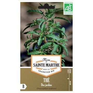 Drakenkop BIO Ferme de Sainte Marthe - Dracocephalum moldavica