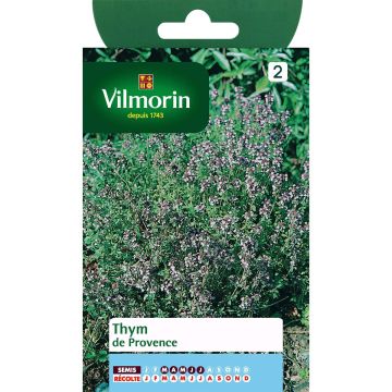 Echte tijm Vilmorin - Thymus vulgaris