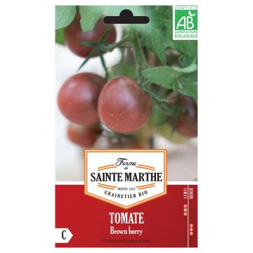 Vleestomaat Brown Berry BIO - Ferme de Sainte Marthe