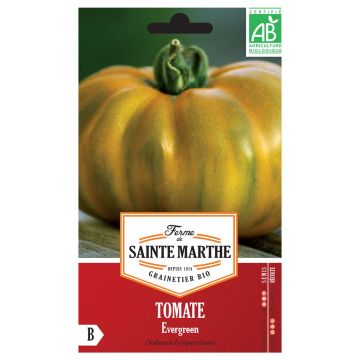 Tomaat Evergreen BIO - Ferme de Sainte Marthe