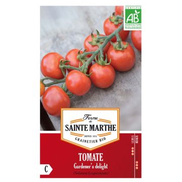 Cherrytomaat Gardener's Delight BIO - Ferme de Sainte Marthe