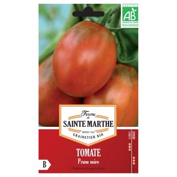 Tomaat Prune Noire BIO - Ferme de Sainte Marthe