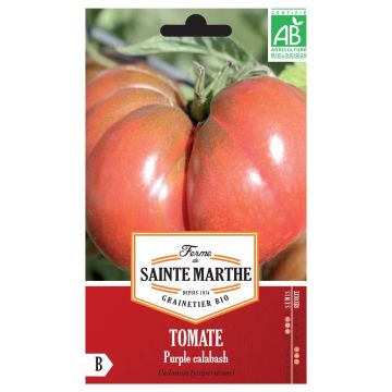 Tomaat Purple Calabash BIO - Ferme de Sainte Marthe