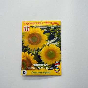 Zonnebloem Green Heart F1 (zaad) - Helianthus annuus