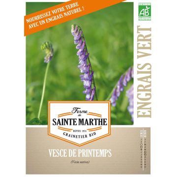 Voederwikke groenbemester BIO Ferme de Sainte Marthe - Vicia sativa