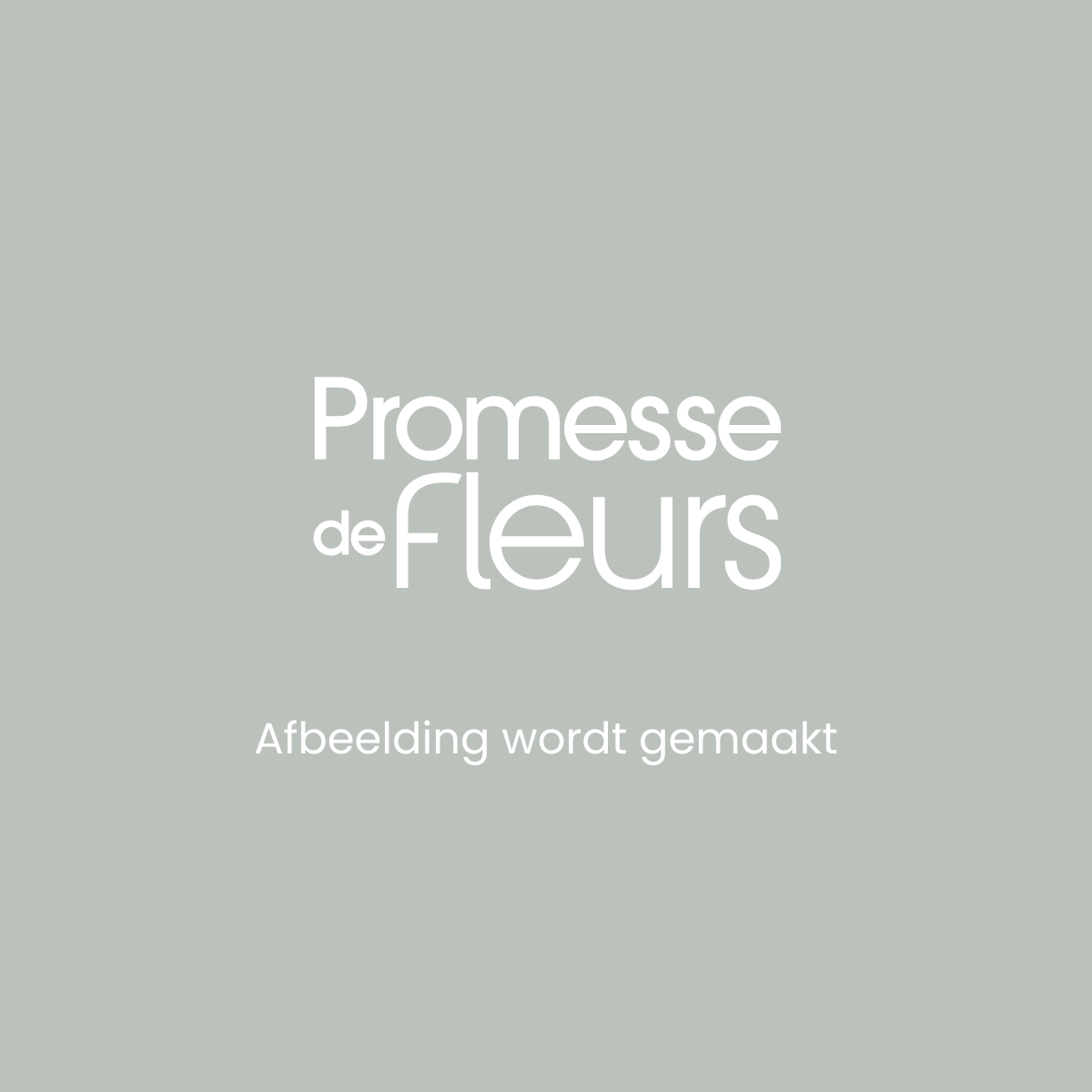 Pluksla Red Salad Bowl