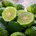 Bergamot