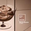 Mocha Mousse - Pantone Kleur van het Jaar 2025
