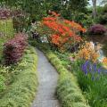 Planten voor borders